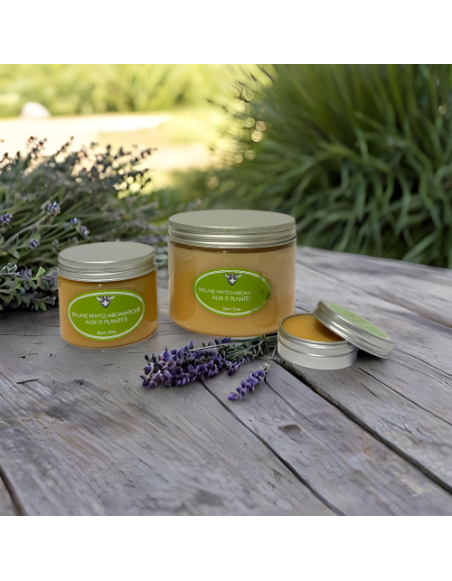 BAUME AUX 9 PLANTES - Pot de 500 ML