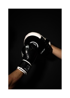 Patte d'ours challenger x2