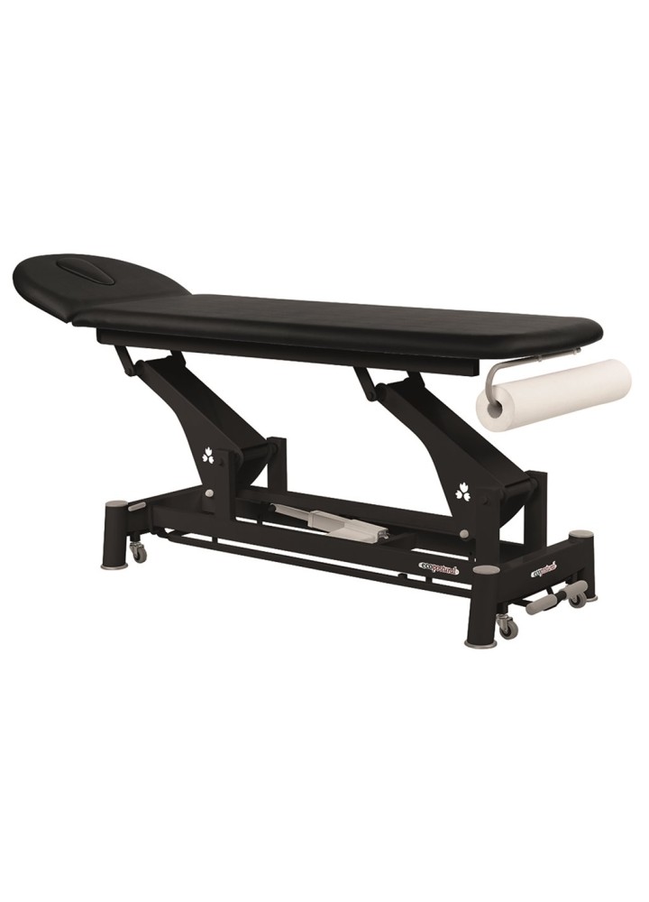 TABLE ECOPOSTURAL - 2 PLANS -TETE