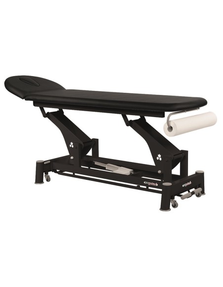 TABLE ECOPOSTURAL - 2 PLANS -TETE