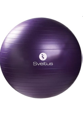 Gymball parme Ø75 cm vrac