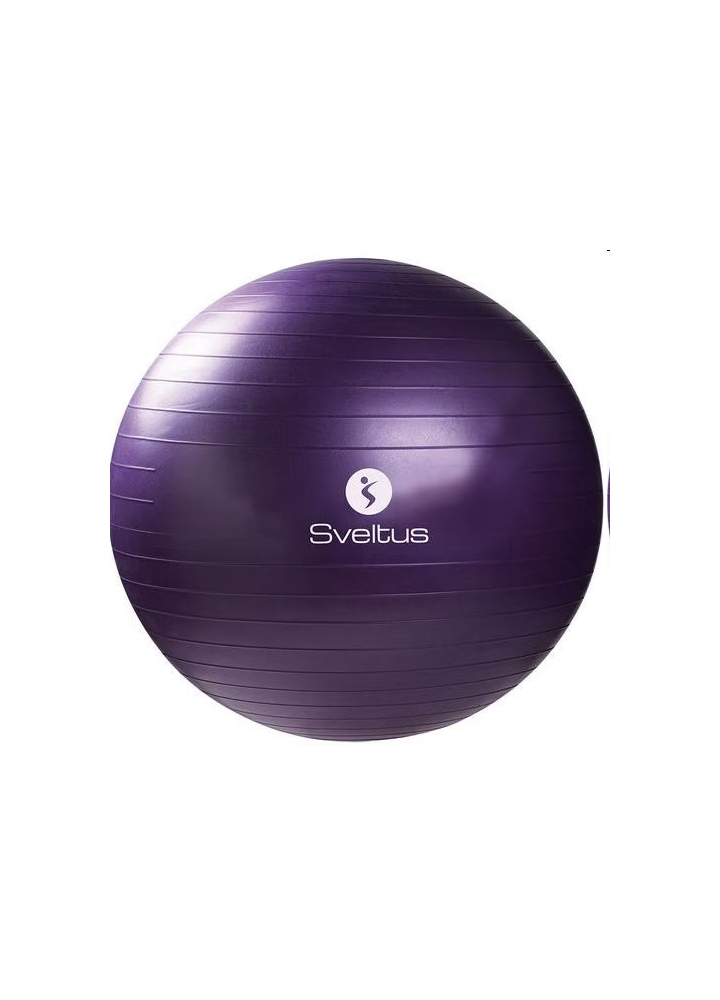 Gymball parme Ø75 cm vrac