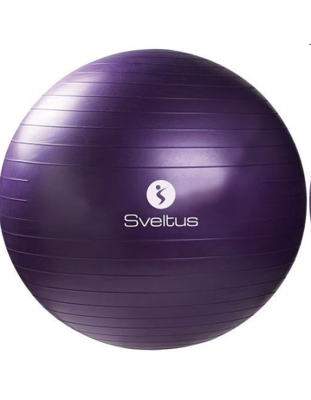 Gymball parme Ø75 cm vrac